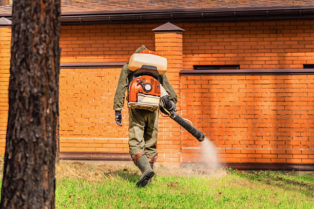 Trusted Ant Control service in Oceanport, NJ - Nex Pest Control